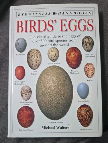 Birds eggs eyewitness - eggs, (eyewitness