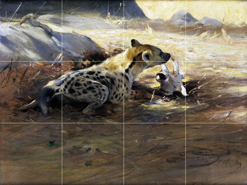 Africa savannah hyena - hyena, w