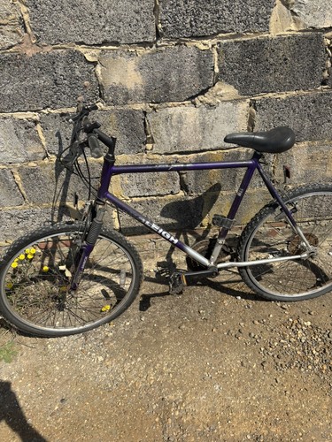Raleigh mtb project - raleigh, 20.5”