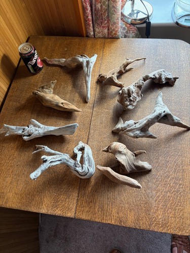 Driftwood best quirky - driftwood,