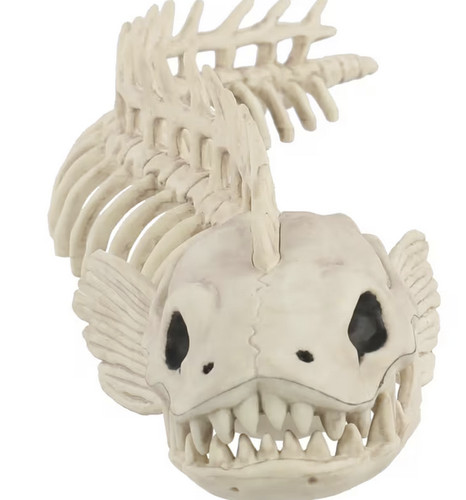 Skeleton eel halloween - skeleton,