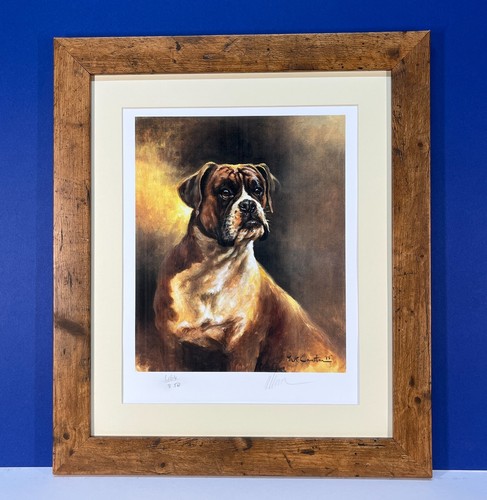Boxer dog mick - boxer,