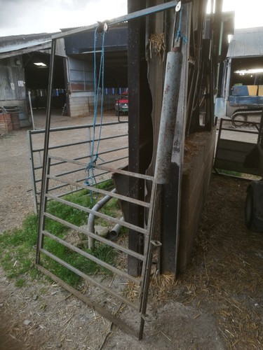 Guillotine gate sheep handling