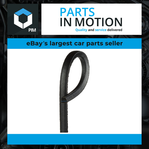 Drive belt fits ssangyong - belt,