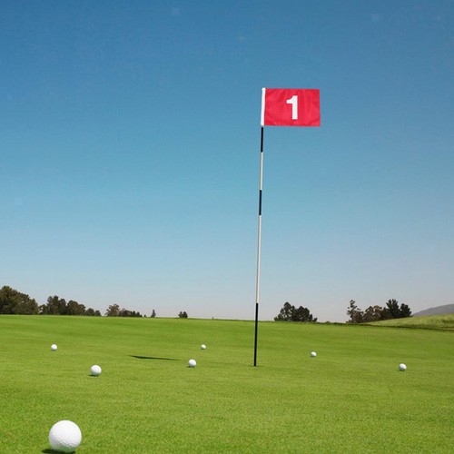 6 inch golf flag - 19.3,