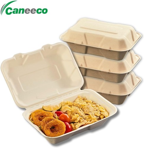 50x 9x6 bagasse takeaway meal - 50x, 9x6"
