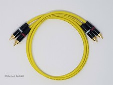 25 CM RCA Phono Cable Gold