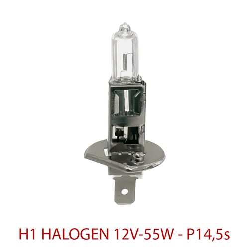 Cif halogen bulb 12v 55w - halogen,