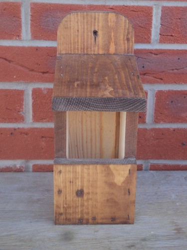 Robin nesting box with - robin,