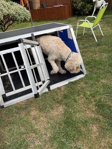 Large aluminium dog - aluminium,
