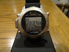 Citizen Promaster D202-E80109