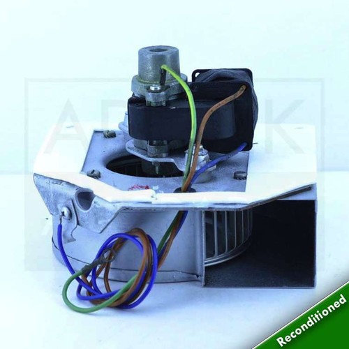 Glowworm economy 30f 40f - 40f, &