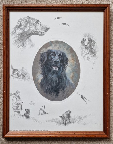 Flat coated retriever - flat, by