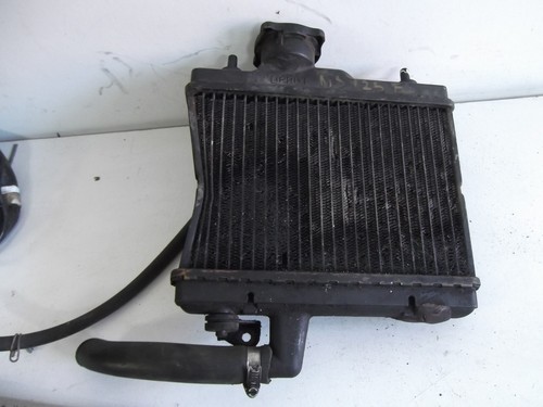 Honda ns125 radiator - honda,