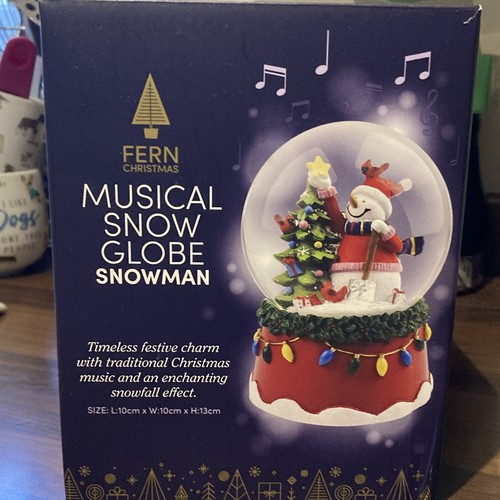 Beautiful unused musical - musical, snow