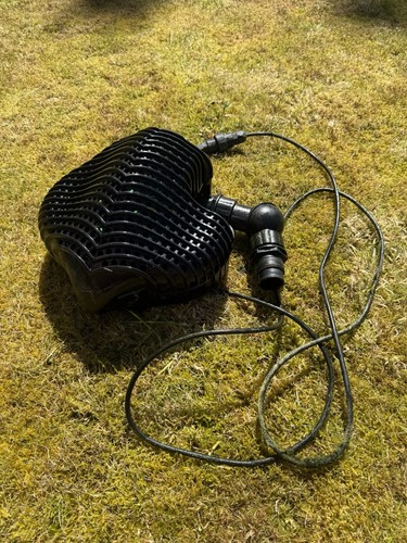 Pond one mantaray - mantaray, pumps