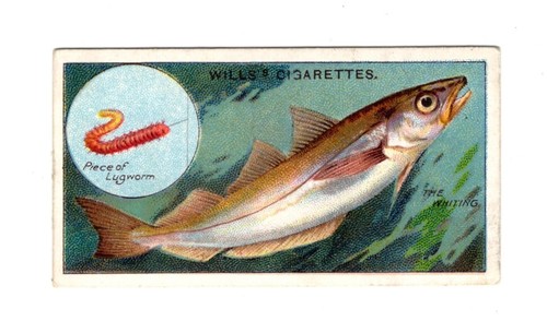 Will cigarettes fish - fish, 44