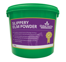 Slippery Elm Powder - Global