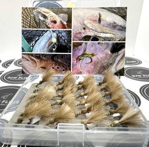 Shuttlecock selection box - selection,