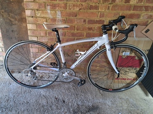 Raleigh capri light weight - capri,