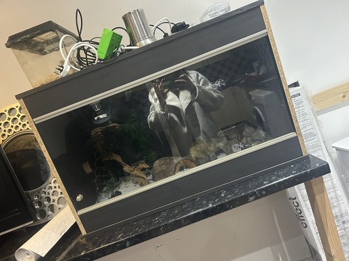 Reptile vivarium set - vivarium, up