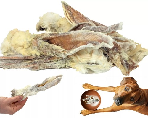 5kg rabbit ears - 5kg, furry