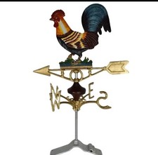 Cockerel Chicken Hen Weather