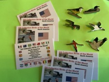 None RSPB Badges GS Collection