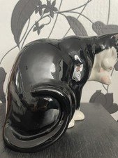 Large Black & White Cat