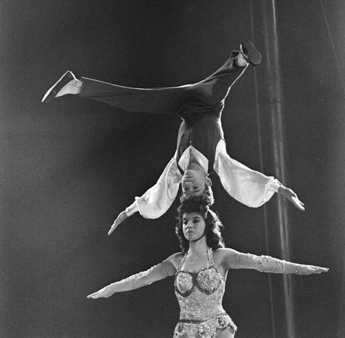 Bertram mills circus tightrope - mills,