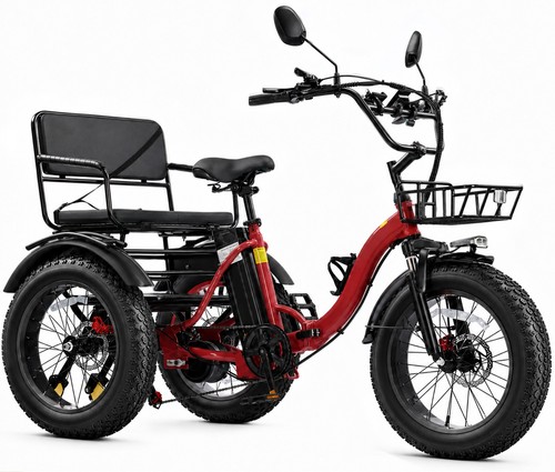Electric tricycle for