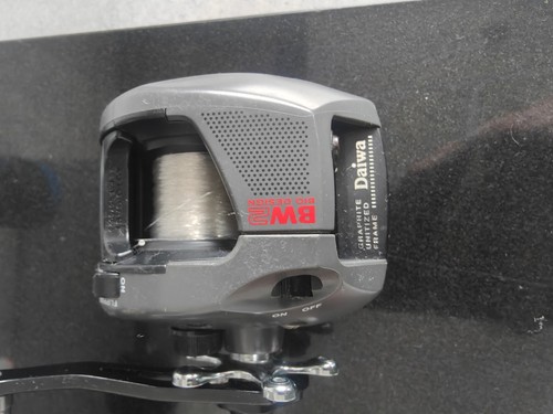 Diawa bw2 multiplier - bw2,