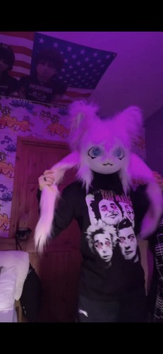 Fursuit head adult unisex - fursuit,