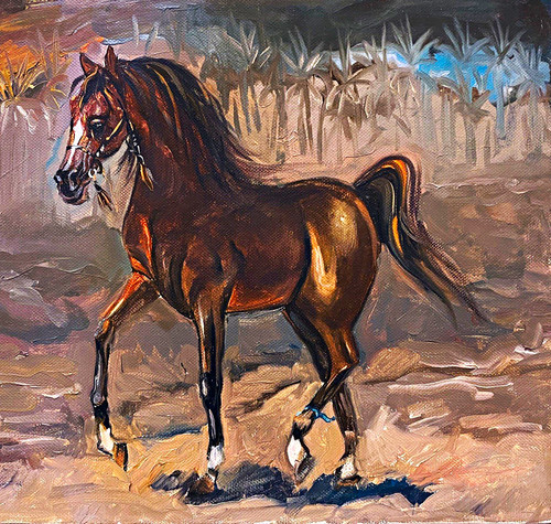 The arabian horse - “the,
