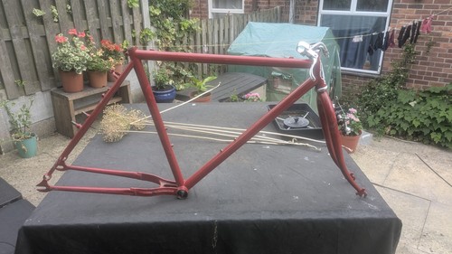 Specialized rockhopper frame - specialized,