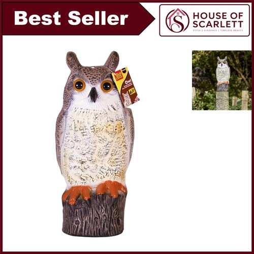 Long eared owl decoy bird - decoy,