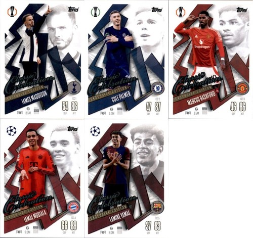 Champions league 2024 - champions,