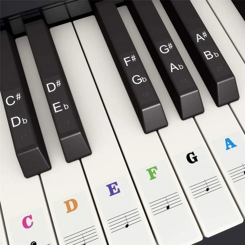 Piano keyboard stickers for - keyboard,