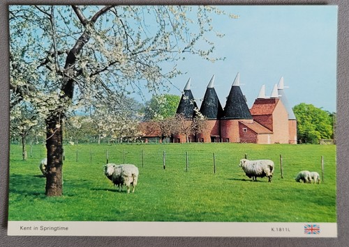 Vintage postcard unused oast - unused,