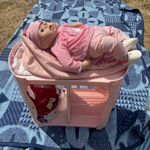 Baby annabell pink - pink, changing