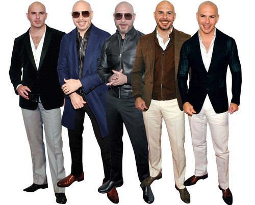 Pitbull life size celebrity - pitbull,
