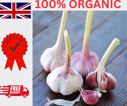 Organic garlic cloves from - ,