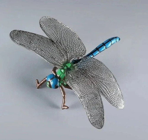Dragonfly insect animal - insect,
