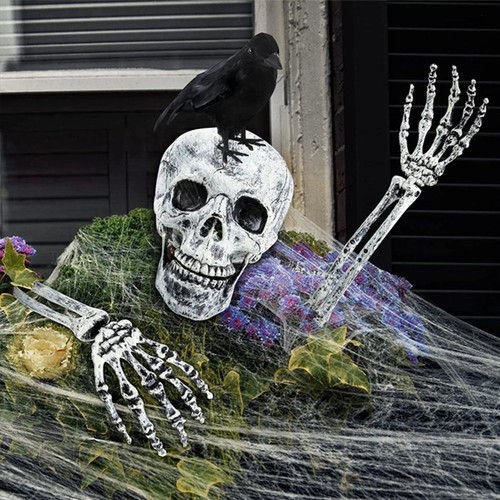 Halloween decoration skeleton - halloween,