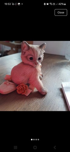 Cat kitten ballet shoes - cat,