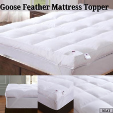 Goose Feather Down Pillows &
