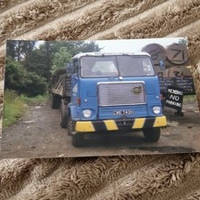 BUY 1 GET 1 FREE! Woodcocks