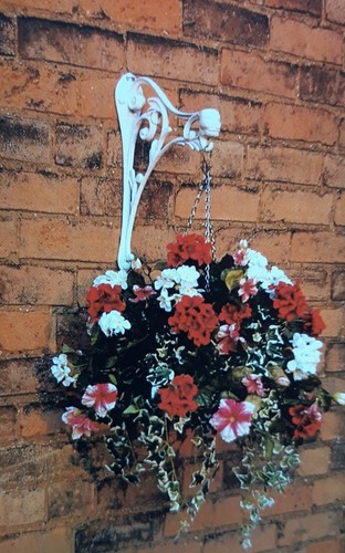 Ornamental hanging basket - hanging,