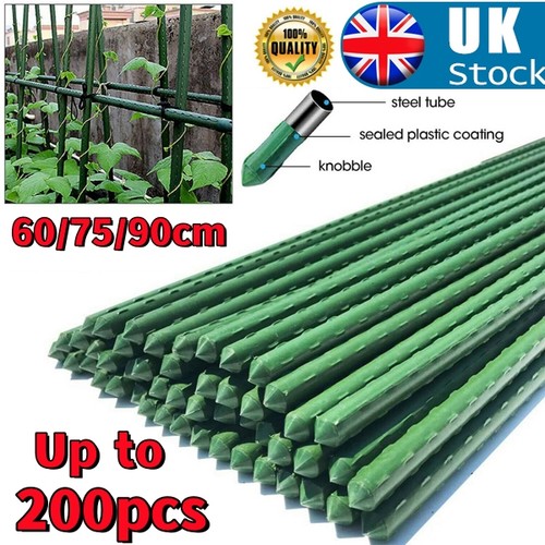 Plant support stake plastic - plant,