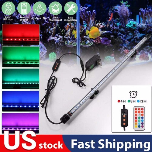 High quality aquarium - high,